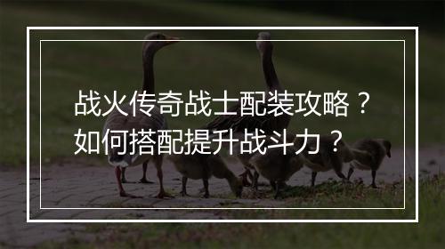 战火传奇战士配装攻略？如何搭配提升战斗力？