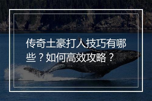 传奇土豪打人技巧有哪些？如何高效攻略？