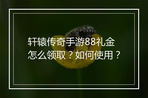 轩辕传奇手游88礼金怎么领取？如何使用？