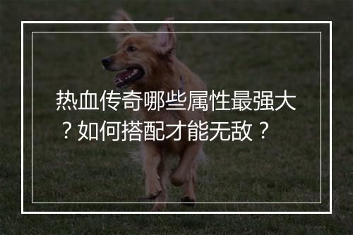 热血传奇哪些属性最强大？如何搭配才能无敌？