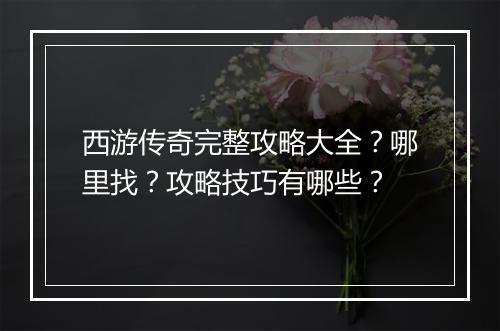 西游传奇完整攻略大全？哪里找？攻略技巧有哪些？