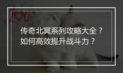 传奇北冥系列攻略大全？如何高效提升战斗力？