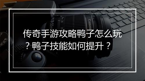 传奇手游攻略鸭子怎么玩？鸭子技能如何提升？