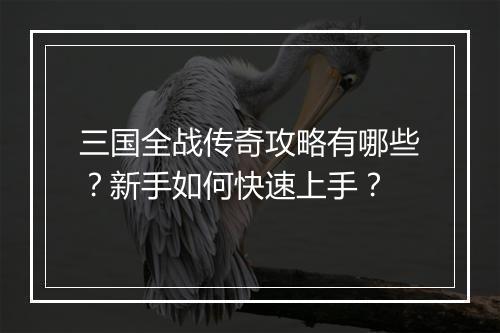三国全战传奇攻略有哪些？新手如何快速上手？