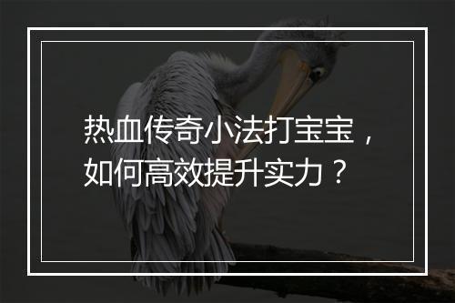 热血传奇小法打宝宝，如何高效提升实力？