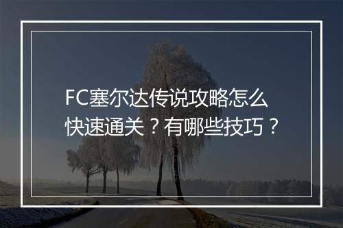 FC塞尔达传说攻略怎么快速通关？有哪些技巧？
