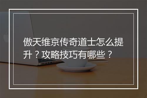 傲天维京传奇道士怎么提升？攻略技巧有哪些？