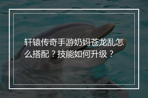 轩辕传奇手游奶妈苍龙乱怎么搭配？技能如何升级？