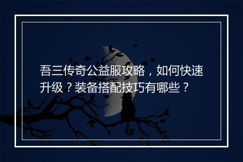 吾三传奇公益服攻略，如何快速升级？装备搭配技巧有哪些？