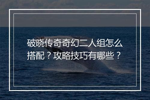 破晓传奇奇幻二人组怎么搭配？攻略技巧有哪些？