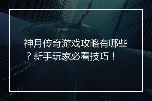神月传奇游戏攻略有哪些？新手玩家必看技巧！