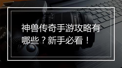 神兽传奇手游攻略有哪些？新手必看！