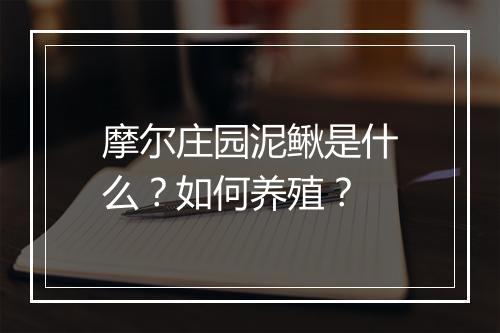 摩尔庄园泥鳅是什么？如何养殖？