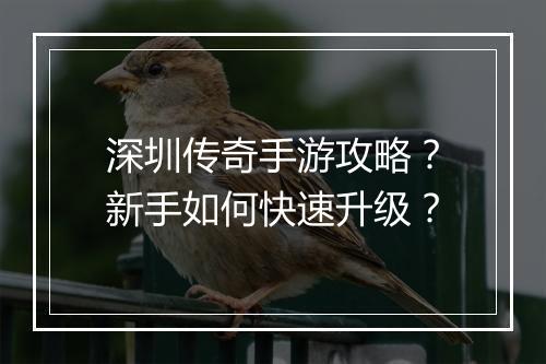 深圳传奇手游攻略？新手如何快速升级？