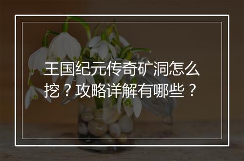 王国纪元传奇矿洞怎么挖？攻略详解有哪些？