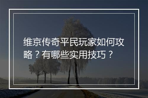 维京传奇平民玩家如何攻略？有哪些实用技巧？