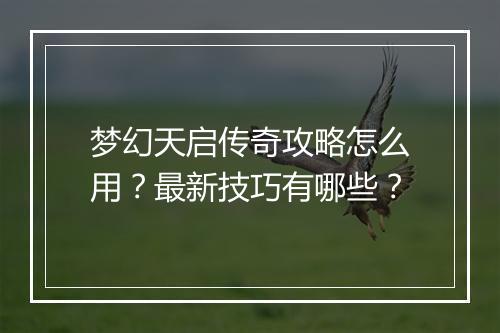 梦幻天启传奇攻略怎么用？最新技巧有哪些？