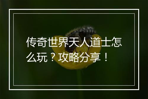 传奇世界天人道士怎么玩？攻略分享！