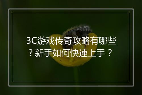 3C游戏传奇攻略有哪些？新手如何快速上手？
