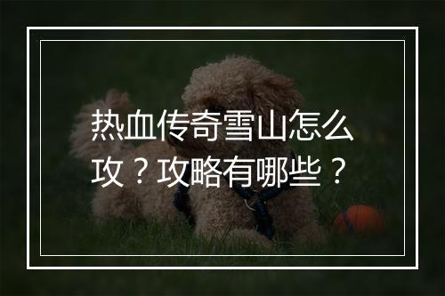 热血传奇雪山怎么攻？攻略有哪些？
