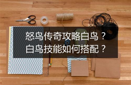 怒鸟传奇攻略白鸟？白鸟技能如何搭配？