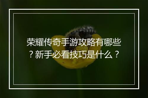 荣耀传奇手游攻略有哪些？新手必看技巧是什么？