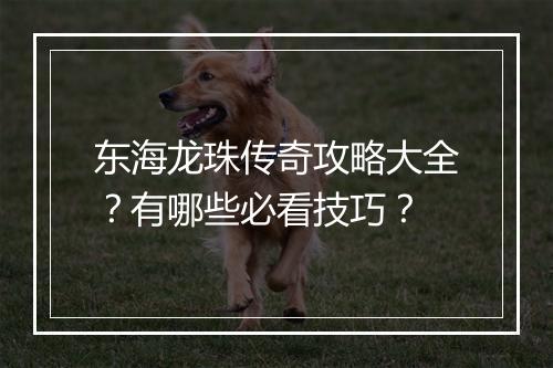 东海龙珠传奇攻略大全？有哪些必看技巧？