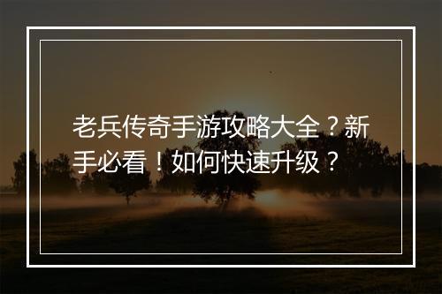 老兵传奇手游攻略大全？新手必看！如何快速升级？