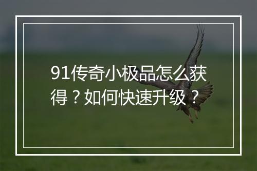 91传奇小极品怎么获得？如何快速升级？
