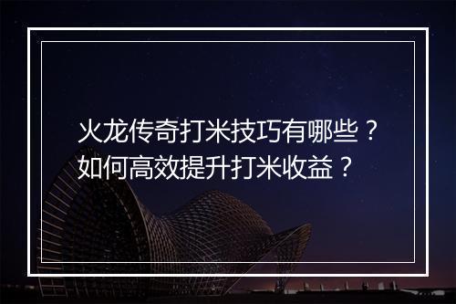 火龙传奇打米技巧有哪些？如何高效提升打米收益？