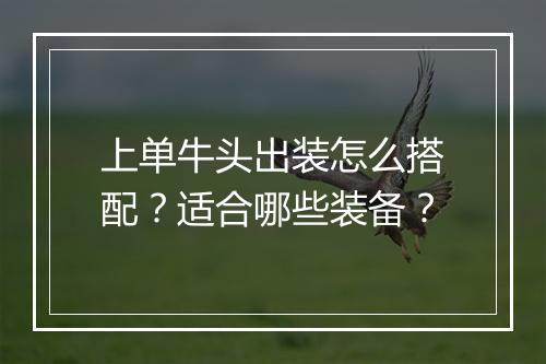 上单牛头出装怎么搭配？适合哪些装备？