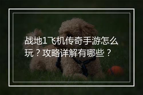 战地1飞机传奇手游怎么玩？攻略详解有哪些？