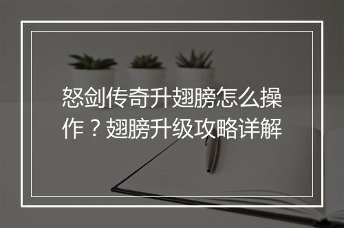 怒剑传奇升翅膀怎么操作？翅膀升级攻略详解