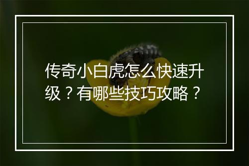 传奇小白虎怎么快速升级？有哪些技巧攻略？