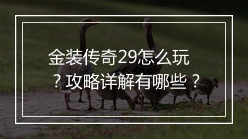 金装传奇29怎么玩？攻略详解有哪些？