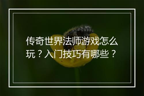 传奇世界法师游戏怎么玩？入门技巧有哪些？