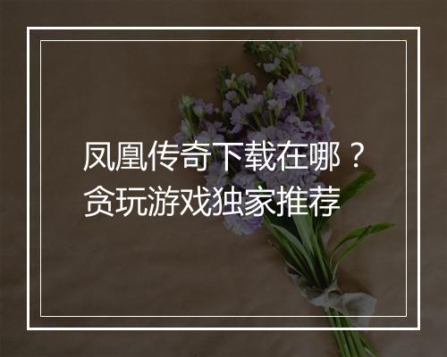 凤凰传奇下载在哪？贪玩游戏独家推荐