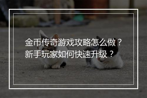 金币传奇游戏攻略怎么做？新手玩家如何快速升级？