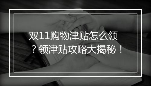 双11购物津贴怎么领？领津贴攻略大揭秘！