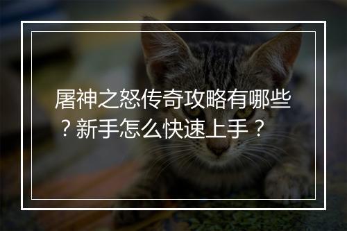 屠神之怒传奇攻略有哪些？新手怎么快速上手？