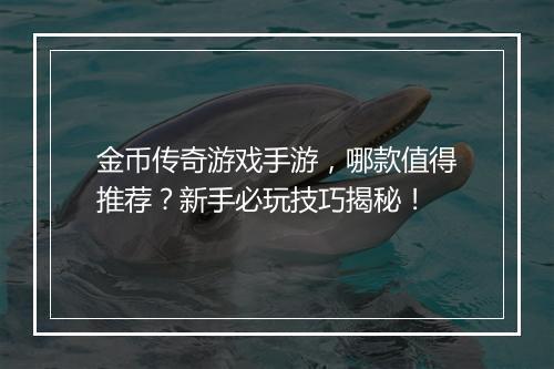 金币传奇游戏手游，哪款值得推荐？新手必玩技巧揭秘！