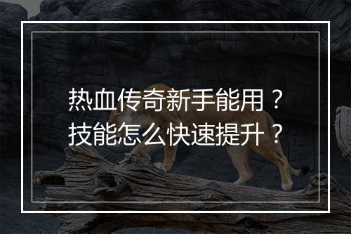 热血传奇新手能用？技能怎么快速提升？