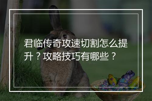 君临传奇攻速切割怎么提升？攻略技巧有哪些？