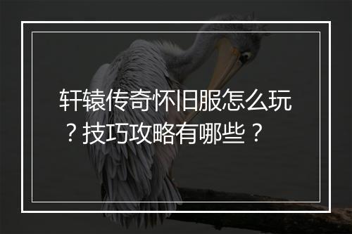 轩辕传奇怀旧服怎么玩？技巧攻略有哪些？