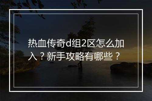 热血传奇d组2区怎么加入？新手攻略有哪些？
