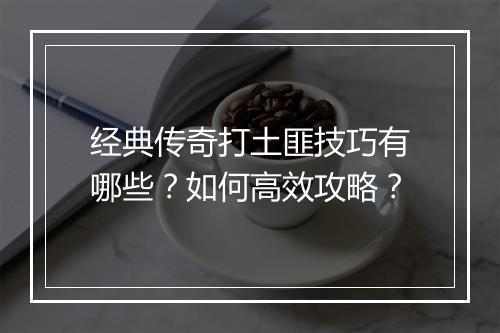 经典传奇打土匪技巧有哪些？如何高效攻略？