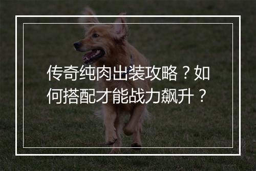 传奇纯肉出装攻略？如何搭配才能战力飙升？