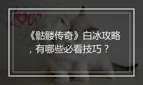《骷髅传奇》白冰攻略，有哪些必看技巧？