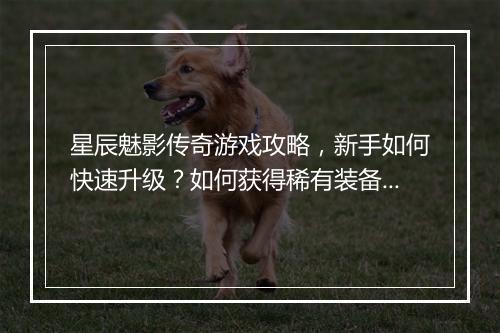 星辰魅影传奇游戏攻略，新手如何快速升级？如何获得稀有装备？