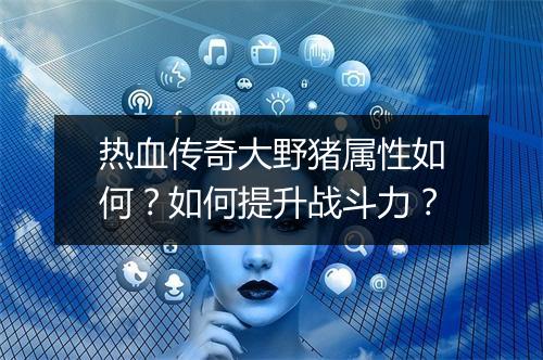 热血传奇大野猪属性如何？如何提升战斗力？
